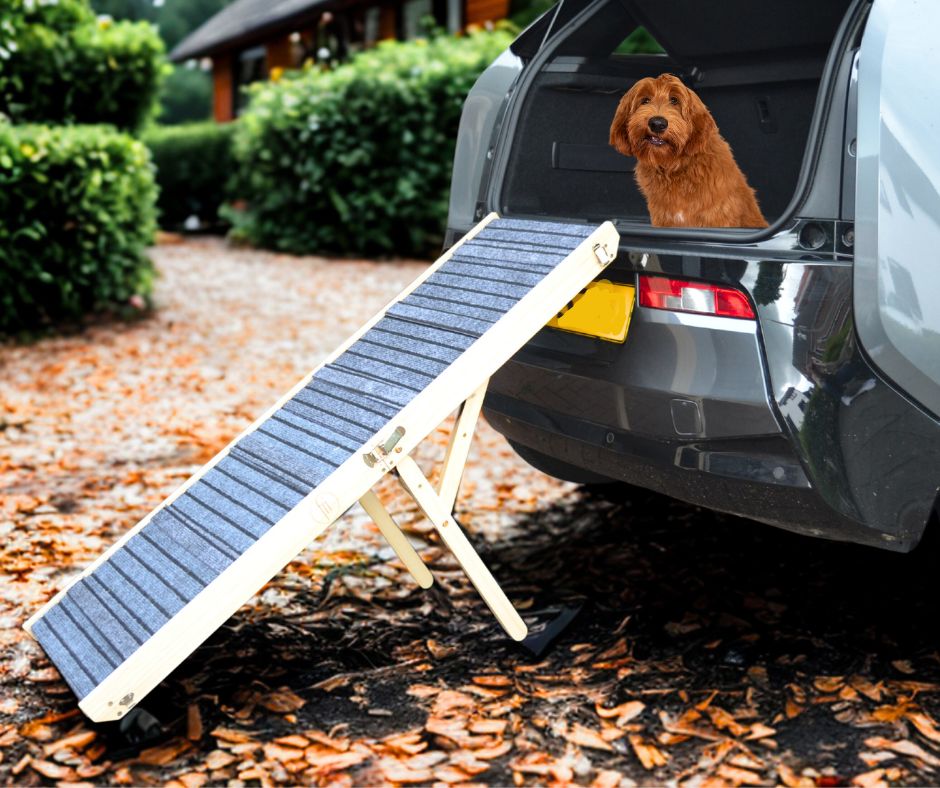 Boris - Hondenloopplank - Hondentrap - Verstelbaar -8 Standen - 21 tot 77 cm - Antislip - Inklapbaar - - PetsAndBags