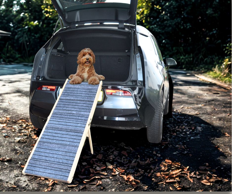 Boris - Hondenloopplank - Hondentrap - Verstelbaar -8 Standen - 21 tot 77 cm - Antislip - Inklapbaar - - PetsAndBags