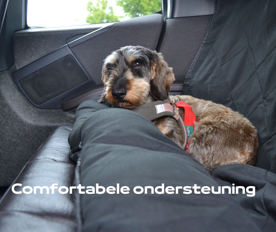 Onyx – Luxe Honden Achterbankhoes met Veiligheidsgordel | Waterafstotend & Antislip | Universele Pasvorm - Zwart - PetsAndBags