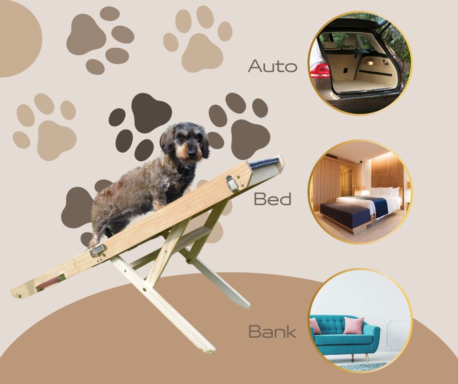 Boris - Hondenloopplank - Hondentrap - Verstelbaar -8 Standen - 21 tot 77 cm - Antislip - Inklapbaar - - PetsAndBags