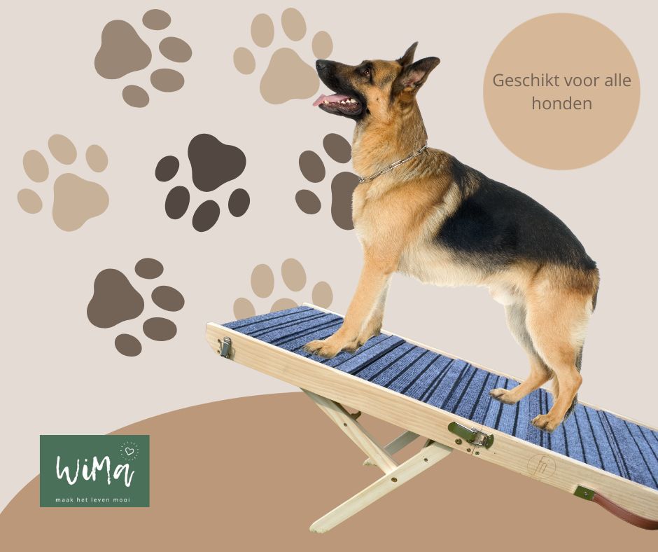 Boris - Hondenloopplank - Hondentrap - Verstelbaar -8 Standen - 21 tot 77 cm - Antislip - Inklapbaar - - PetsAndBags